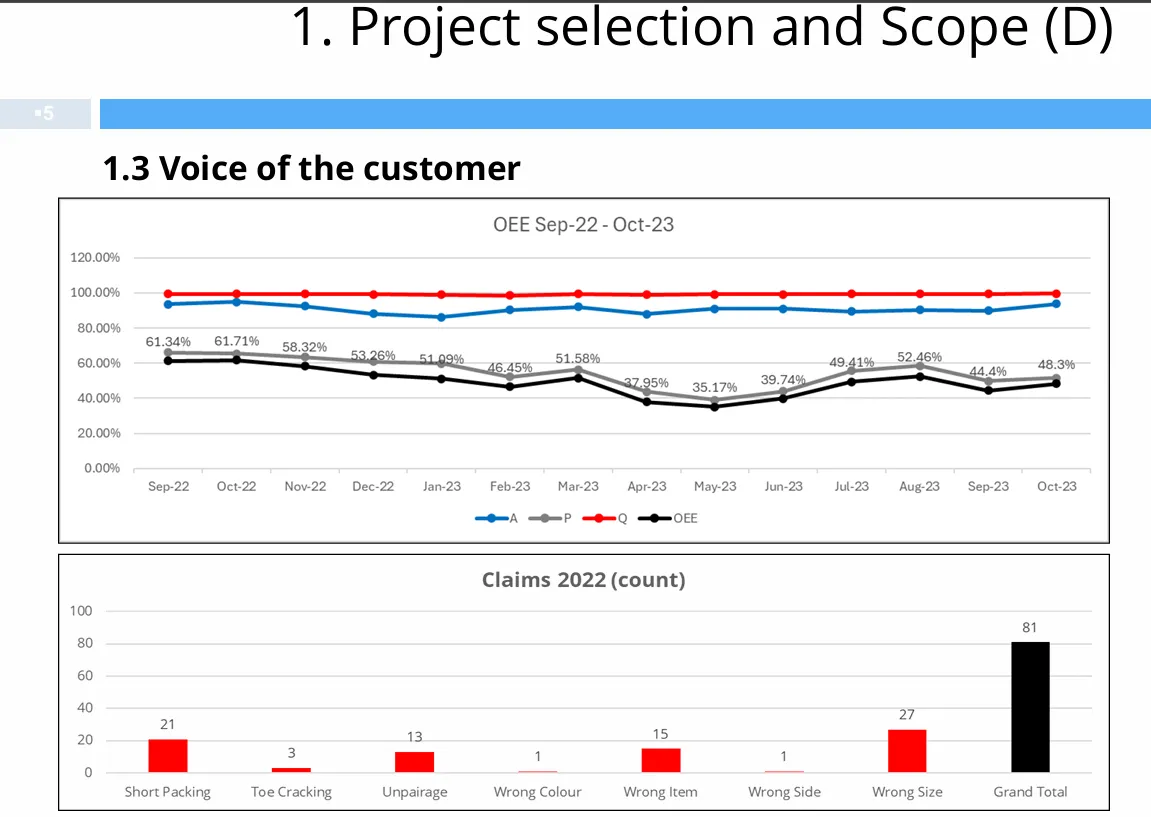 Voice of Customer trong dự án Lean Six Sigma tại Framas Indo