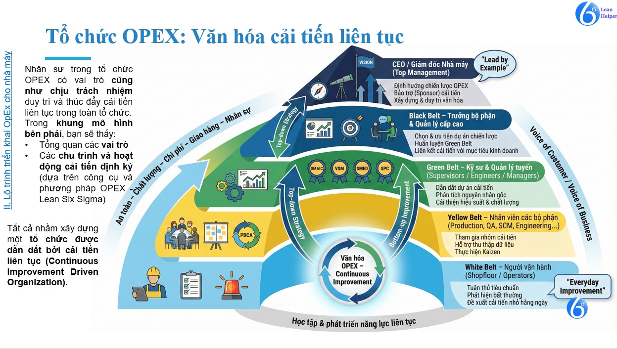 Operations Excellence (OPEX) – Xây dựng tổ chức cải tiến liên tục theo vai trò và năng lự